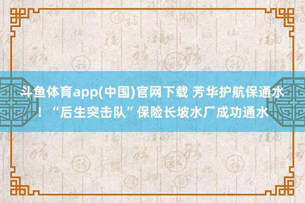 斗鱼体育app(中国)官网下载 芳华护航保通水！“后生突击队”保险长坡水厂成功通水
