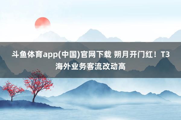 斗鱼体育app(中国)官网下载 朔月开门红！T3海外业务客流改动高