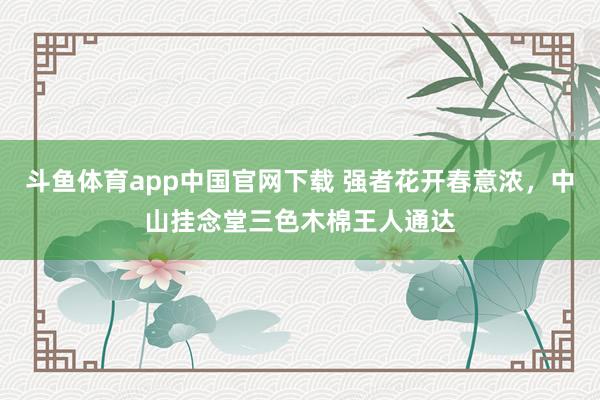 斗鱼体育app中国官网下载 强者花开春意浓，中山挂念堂三色木棉王人通达