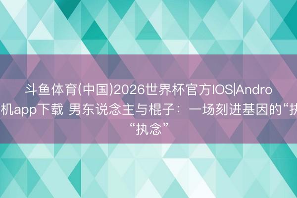 斗鱼体育(中国)2026世界杯官方IOS|Android手机app下载 男东说念主与棍子：一场刻进基因的“执念”
