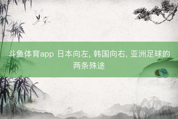 斗鱼体育app 日本向左， 韩国向右， 亚洲足球的两条殊途