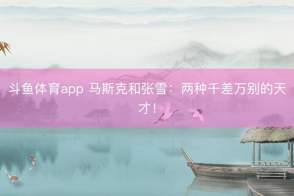 斗鱼体育app 马斯克和张雪：两种千差万别的天才！