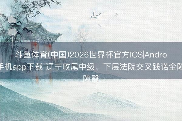 斗鱼体育(中国)2026世界杯官方IOS|Android手机app下载 辽宁收尾中级、下层法院交叉践诺全障翳