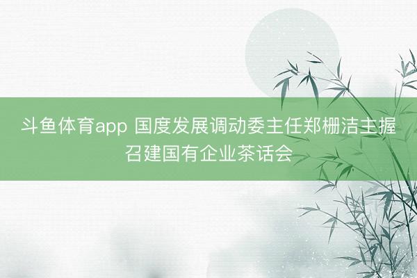 斗鱼体育app 国度发展调动委主任郑栅洁主握召建国有企业茶话会