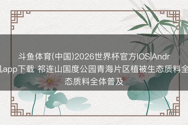 斗鱼体育(中国)2026世界杯官方IOS|Android手机app下载 祁连山国度公园青海片区植被生态质料全体普及