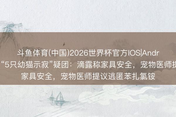 斗鱼体育(中国)2026世界杯官方IOS|Android手机app下载 “5只幼猫示寂”疑团：滴露称家具安全，宠物医师提议逃匿苯扎氯铵