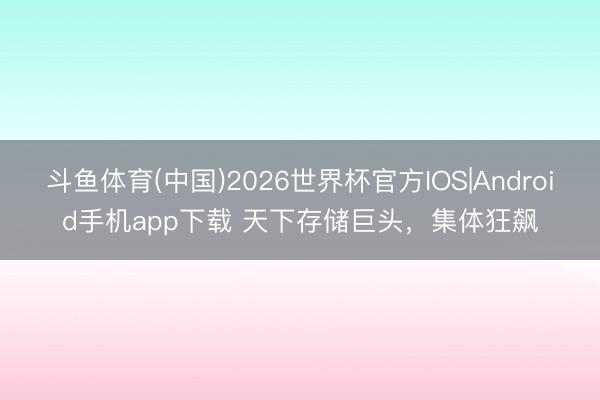 斗鱼体育(中国)2026世界杯官方IOS|Android手机app下载 天下存储巨头，集体狂飙